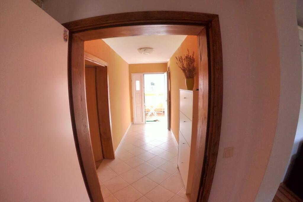 Comfortable Apartment Near Pula Marčana Eksteriør billede